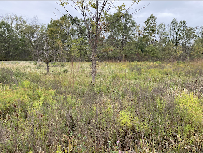 Earth Heart Farm’s vision also includes a Conservation Easement in Perpetuity and a Cultural Use Easement to offer indigenous people access for activities, including ceremony, medicinal foraging, hunting and fishing.