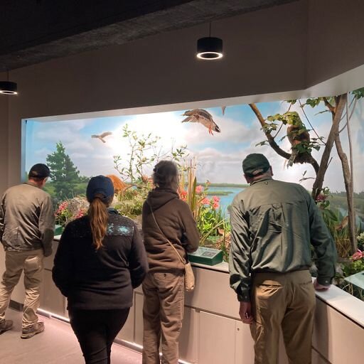 Vistiors take in a new exhibit at Magee Marsh Visitor Center.