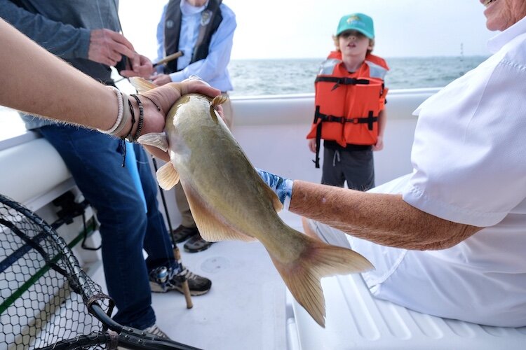 Gov. Mike DeWine's 5-year-old grandson, caught the most fish on Captain Peg VanVleet's boat. 