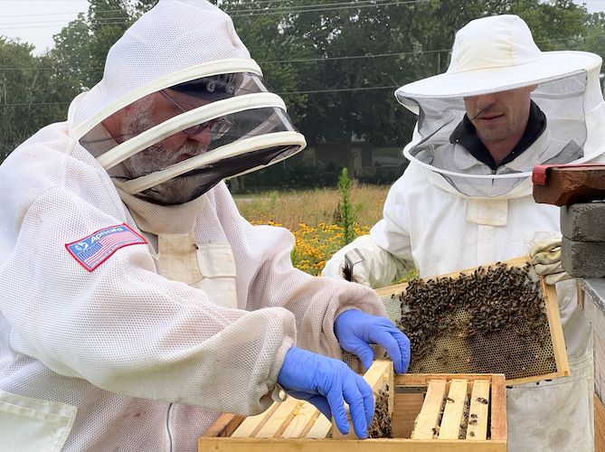 Manner and Hahn check their hives.