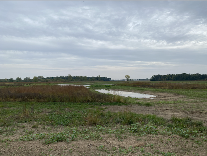 Earth Heart Farms can filter nutrient runoff and help Ohio meet its 2025 goal to reduce nutrient runoff by 40%.