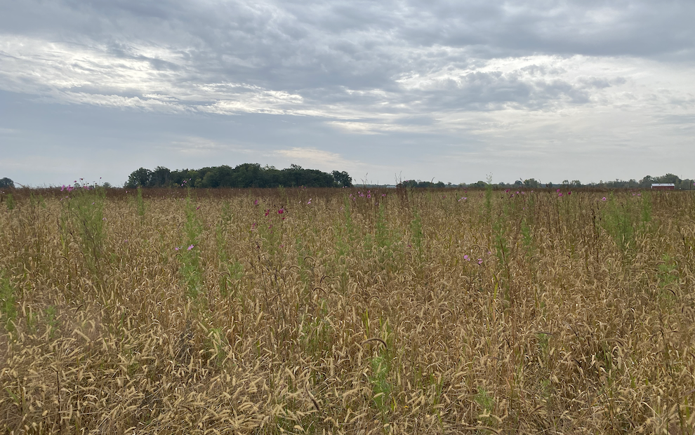 Earth Heart Farms in Oak Harbor