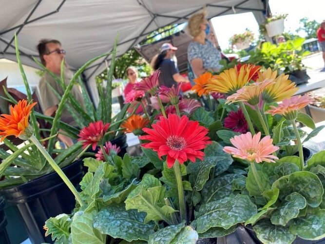 The Sandusky Farmers Market opened for the season on June 3.