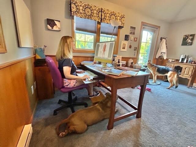 Nath works from her home office under the watchful eyes of her dogs.