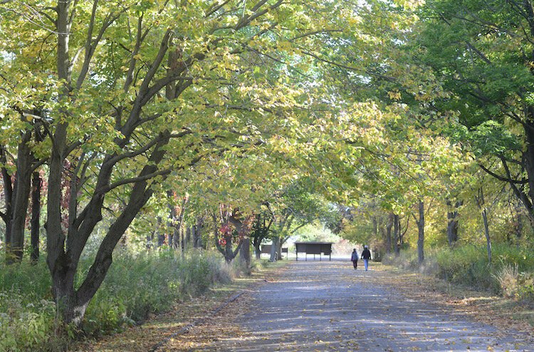 Local teens enjoy Sheldon Marsh on a warm October day. 