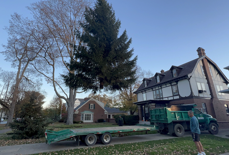 The Hofstatter tree is a Norway Spruce that was gifted to his family from friends returning to the area from Alaska. He planted it more than 20 years ago.
