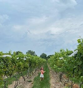 The Wermuths' granddaughter, Avery, explores the vineyard.